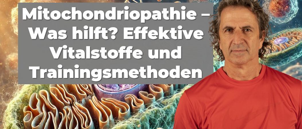 Mitochondriopathie - Was hilft?