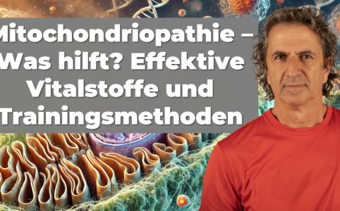 Mitochondriopathie - Was hilft?